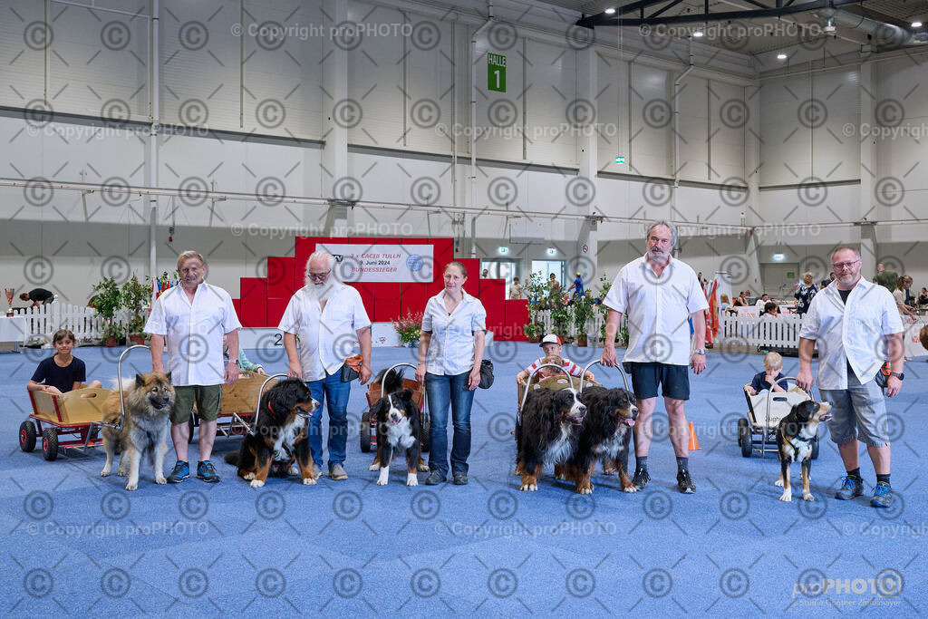 202406_ÖKV-IHA-Tulln24_NZ9_9409 | proPHOTO - Realisiert mit Pictrs.com