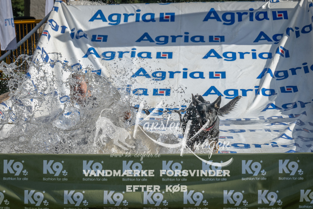 1021_ZZ98456 | kk-dogfotos