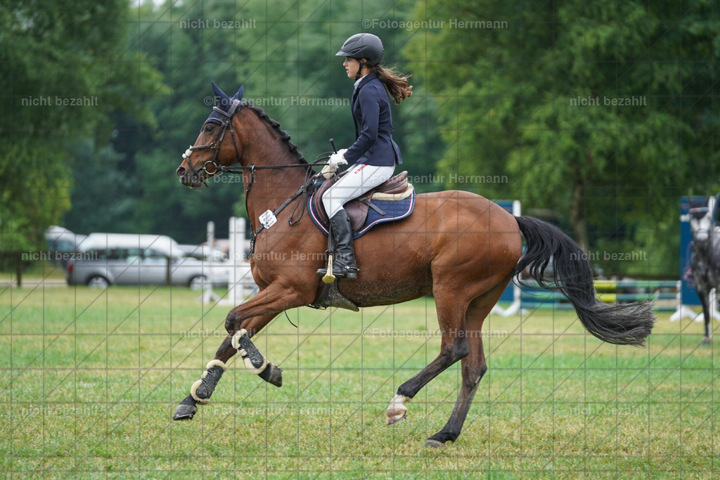 20230701-FAH00374 | Reitturnier Grafing, 2023, Grafing-Aiterndorf, Spribgturnier, Dressurturnier, Bilder, Qualifikation Nürnberger Burgpokal, Fotoagentur Herrmann, Turnierfotografen Bayern, Turnierbilder Bayern, Reitrsportfoto