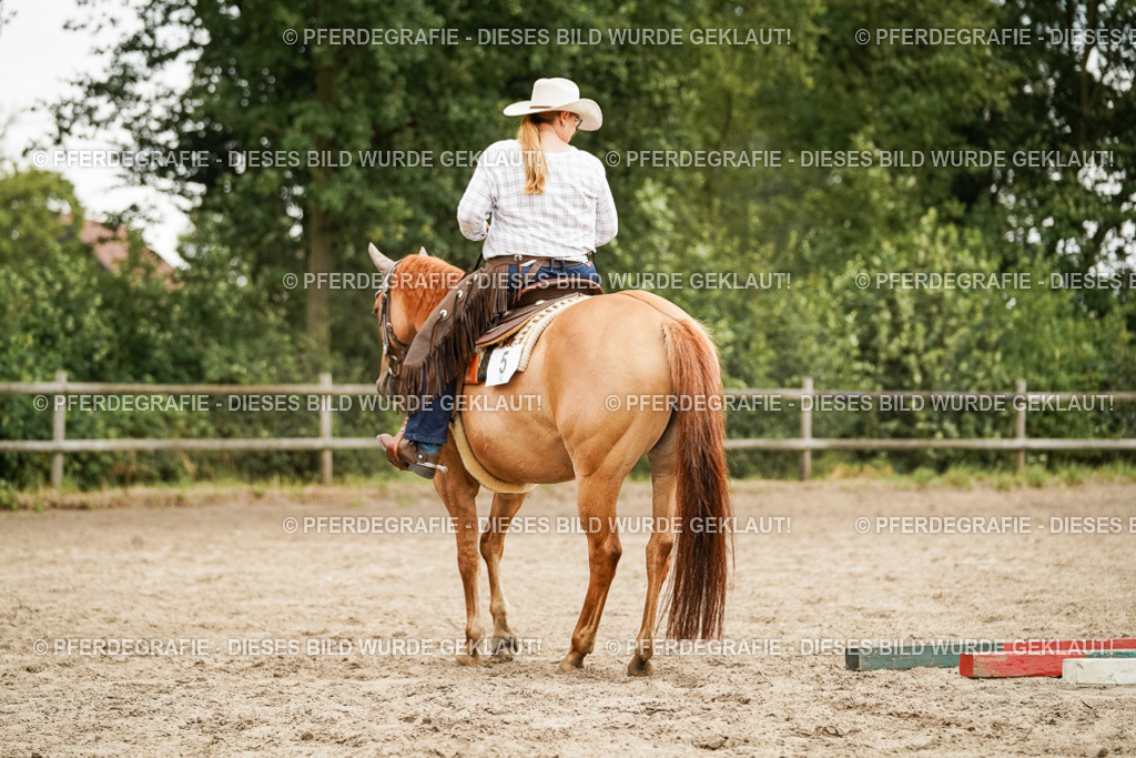 DSC08924 | Pferdegrafie