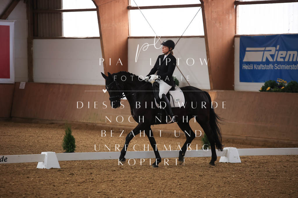 IMGT8740 | pl-fotografie