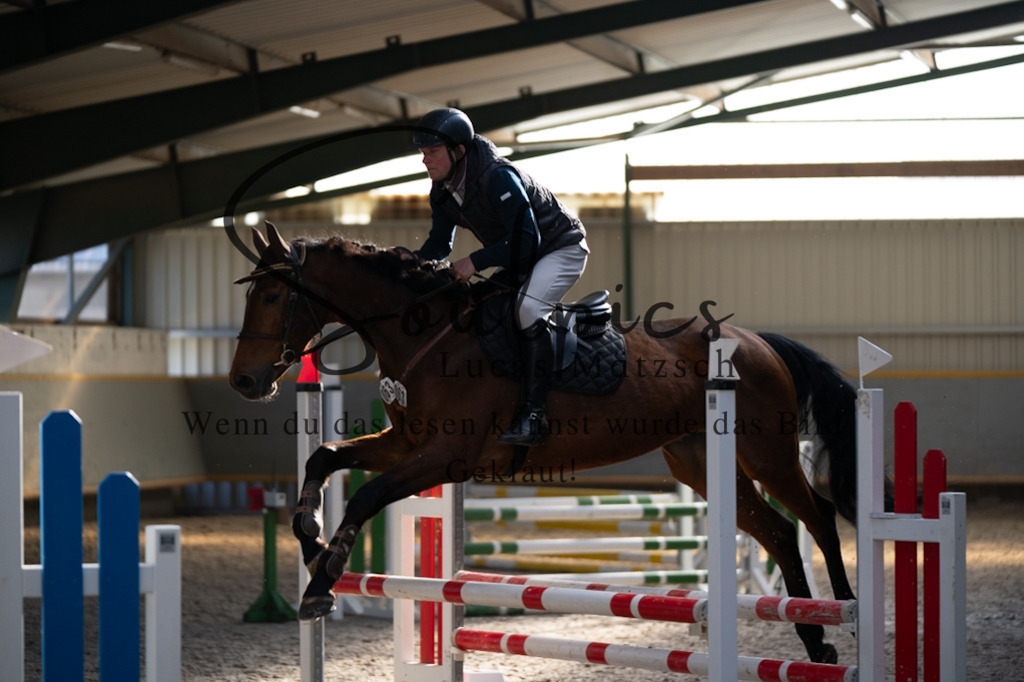 A7V06316 | Pferdefotograf