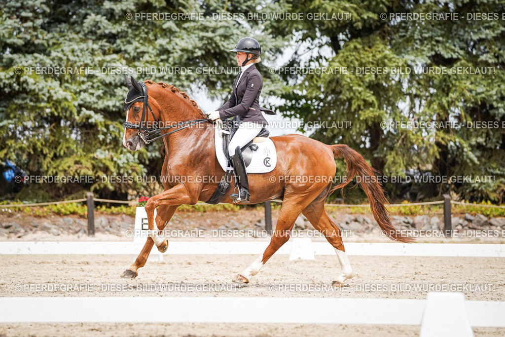 DSC05280 | Pferdegrafie