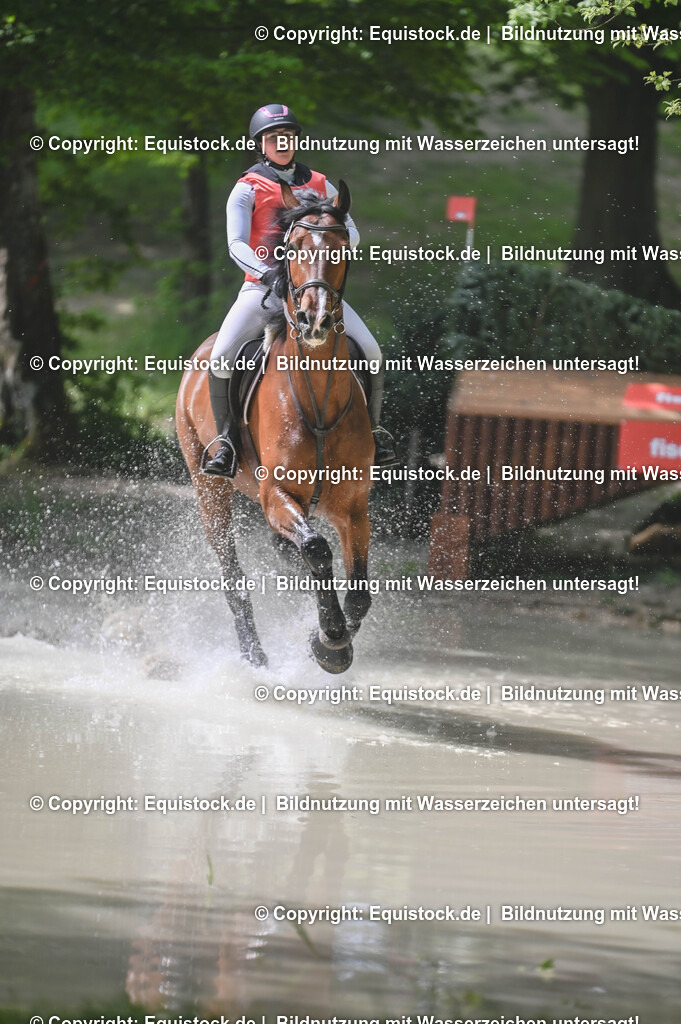 20250517_CCI2_Gelände_1343 | Foto: Thomas Hartig