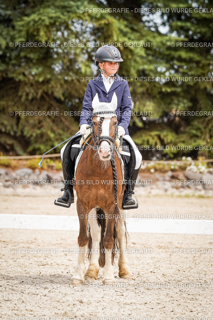 DSC04522 | Pferdegrafie