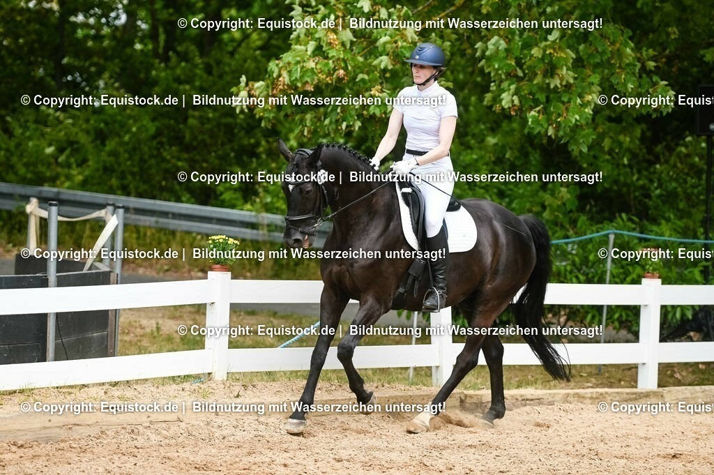 20230715_05_Dressurprüfung Kl.A++_0278 | equistock