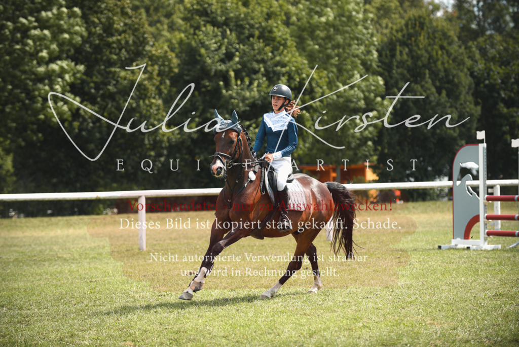 DSC_6764 | Pferde- und Turnierfotografie in Westsachsen. Pferdeportraits, Auftragszeichnungen und intuitive Kunst.