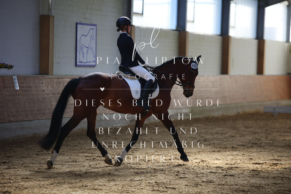 IMGT6152 | pl-fotografie