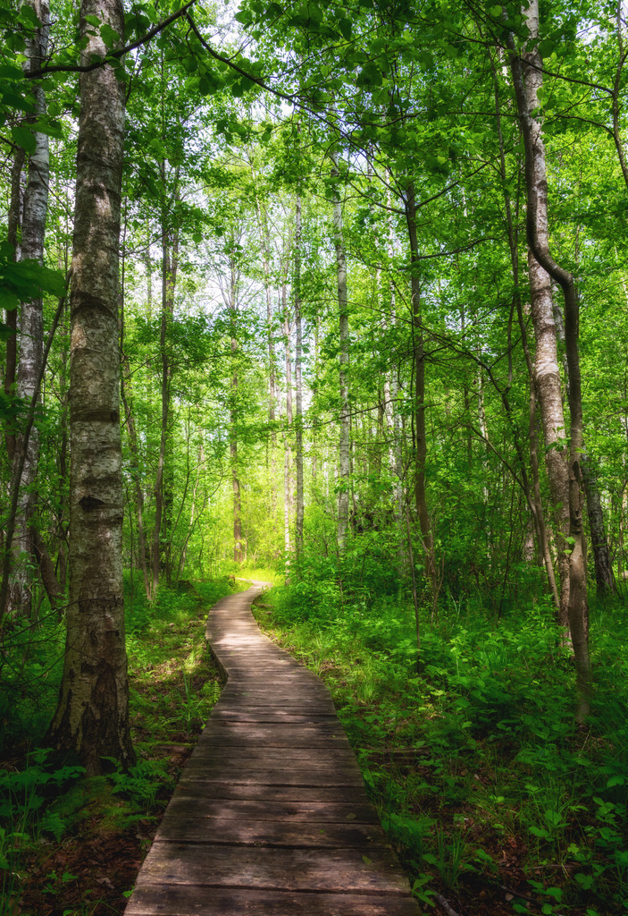 Poleski Nationalpark 4 | Polen - Realisiert mit Pictrs.com