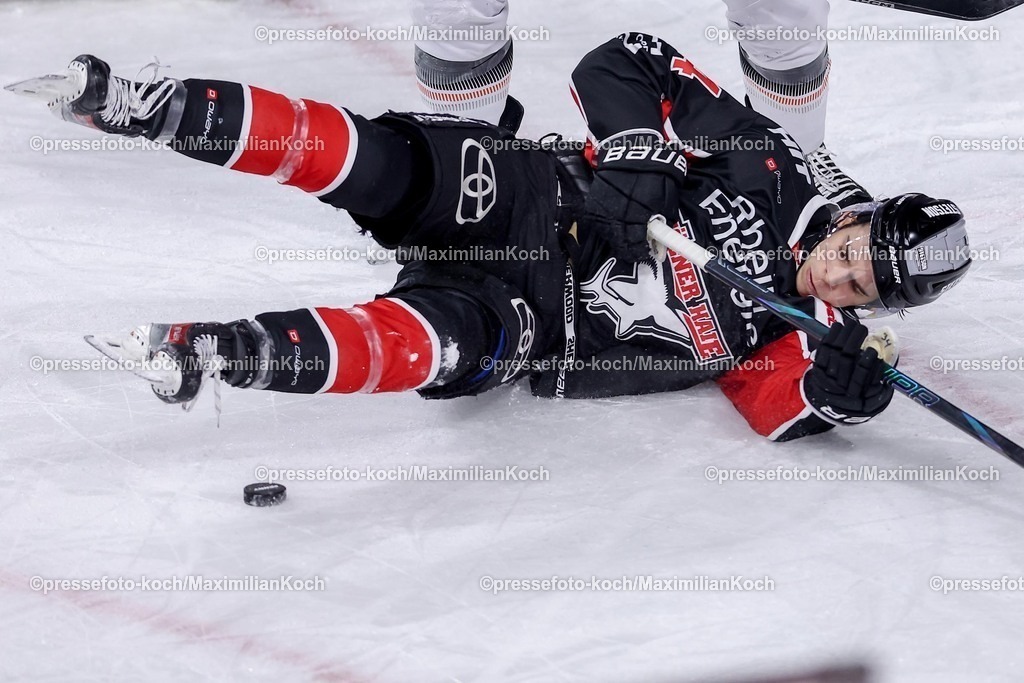 Koe30122401039 | 30.12.2024, Eishockey, Penny DEL, Kölner Haie - Löwen Frankfurt, Spieltag 32, Lanxess-Arena Köln: Elias Lindner (Kölner Haie #34) liegt auf dem Eis 