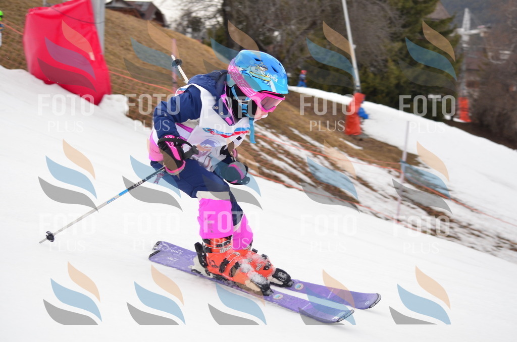 B9965 | holidayphoto