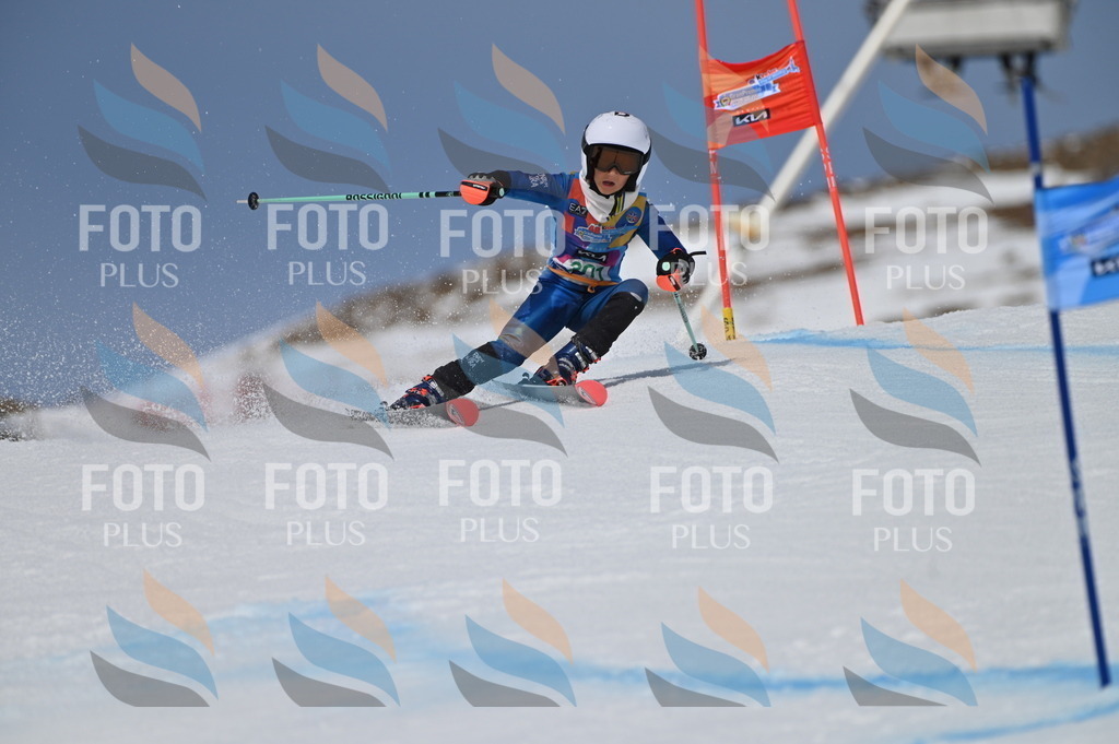 BGV_5970 | holidayphoto