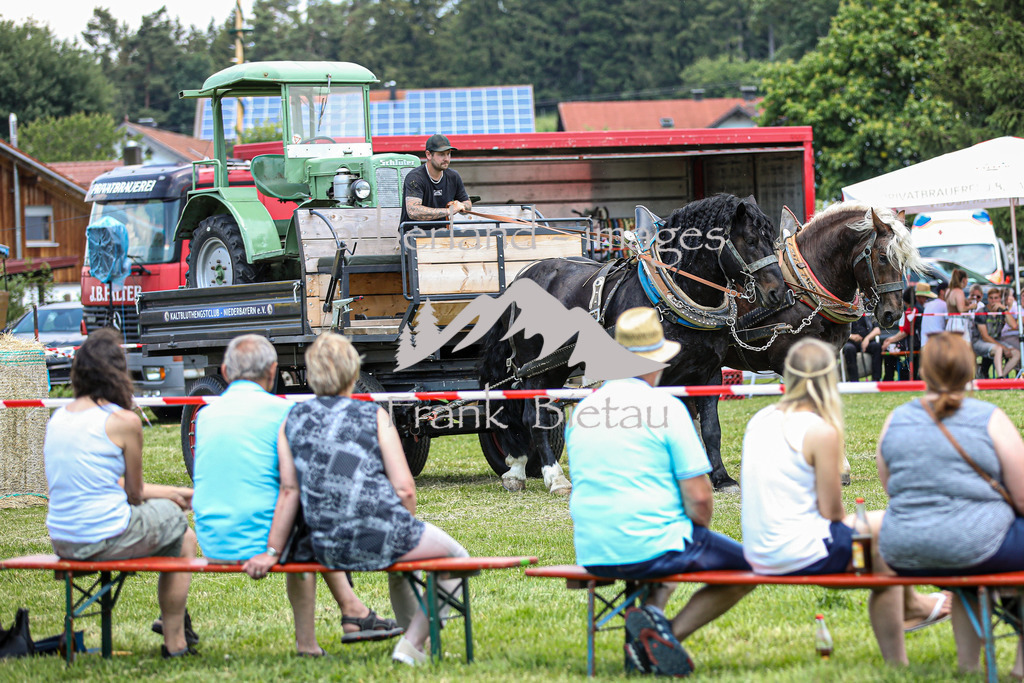 OE7A4548 | Beim Zugpferdetreffen in Poschedtsried galt es verschiedene Wettbewerbe zu meistern, Einzelrennen im Reiten, Traktorpulling und auch ein Hunderennen wurde veranstaltet