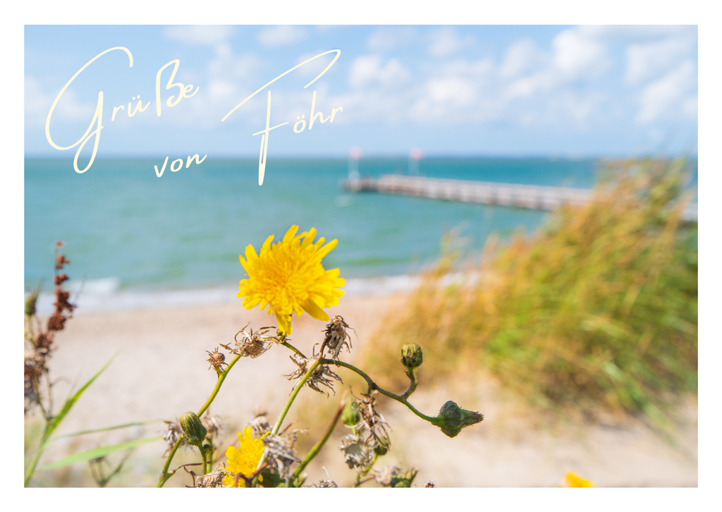 Motiv 86 | Eilun-Art-Fotografie Levke Martens, ihre Fotografin für Immobilien- und Landschaftsfotografie auf Föhr, Föhrer Motive als Poster, Leinwand, hinter Acrylglas oder stelle dir deinen eigenen Monatskalender zusammen, mit nur einem Klick