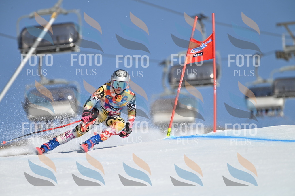 BGV_7828 | holidayphoto