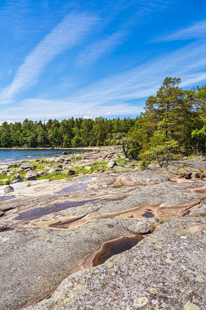 Ostseeküste mit Felsen und Bäumen auf der Insel Sladö in Schweden | Ostseeküste mit Felsen und Bäumen auf der Insel Sladö in Schweden.