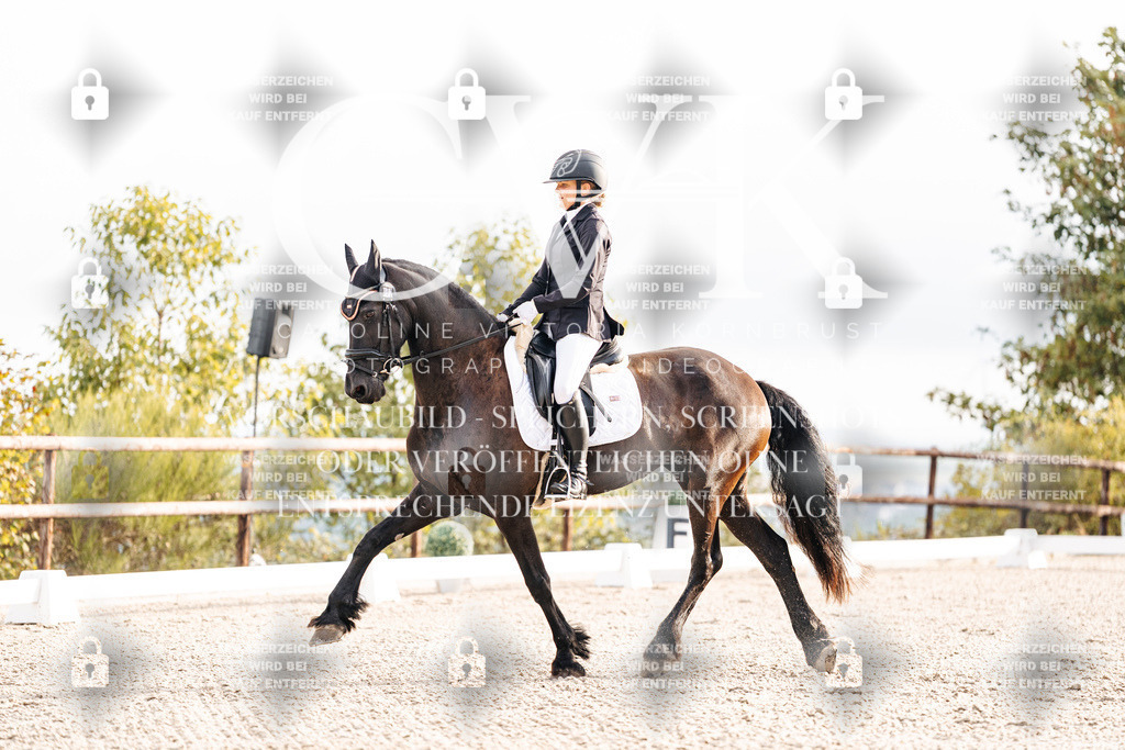 CK900311 | Turnierfotografie Pferdefotografie Trier Rheinland-Pfalz Pferdesport Reitsport Tierfotografie Sportfotografie Pferdevideo Pferdevideografie Equestrianvideography equestrianphotography  - Realisiert mit Pictrs.com