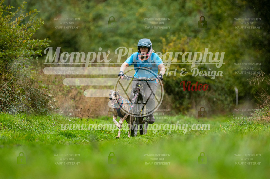 TSB_2023_E6_Bike-16 | PayLife