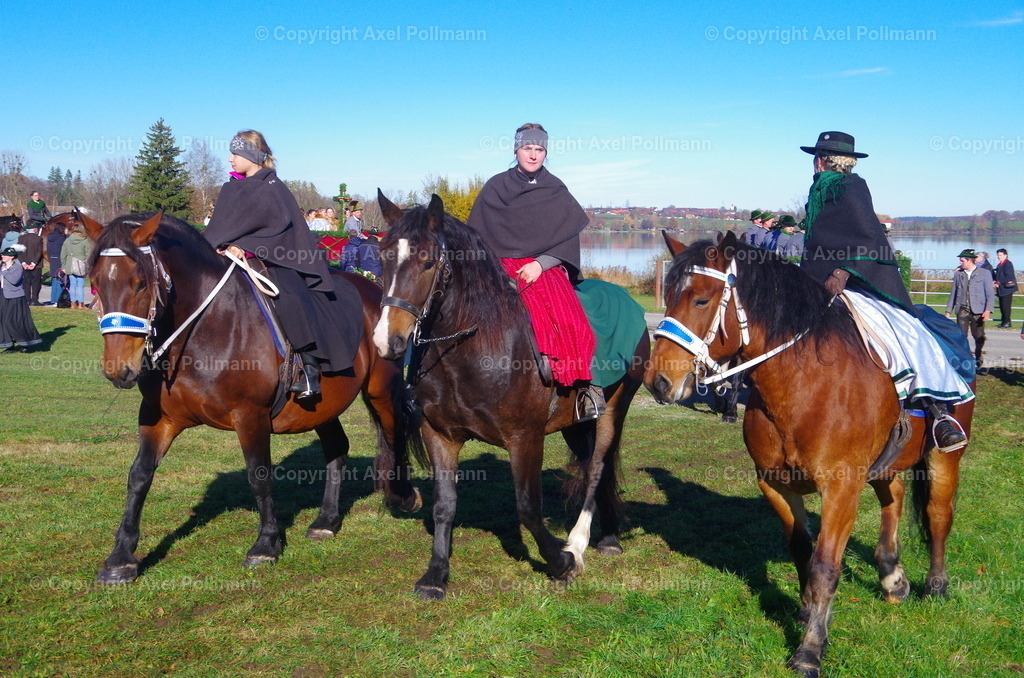 IMGP7548 | fotografiert von Axel PollmannLeonhardi Wallfahrt Benediktbeuern und Murnau, Fronleichnam, Fasching, Landschaft im Loisachtal und Benediktbeuern  - Realisiert mit Pictrs.com