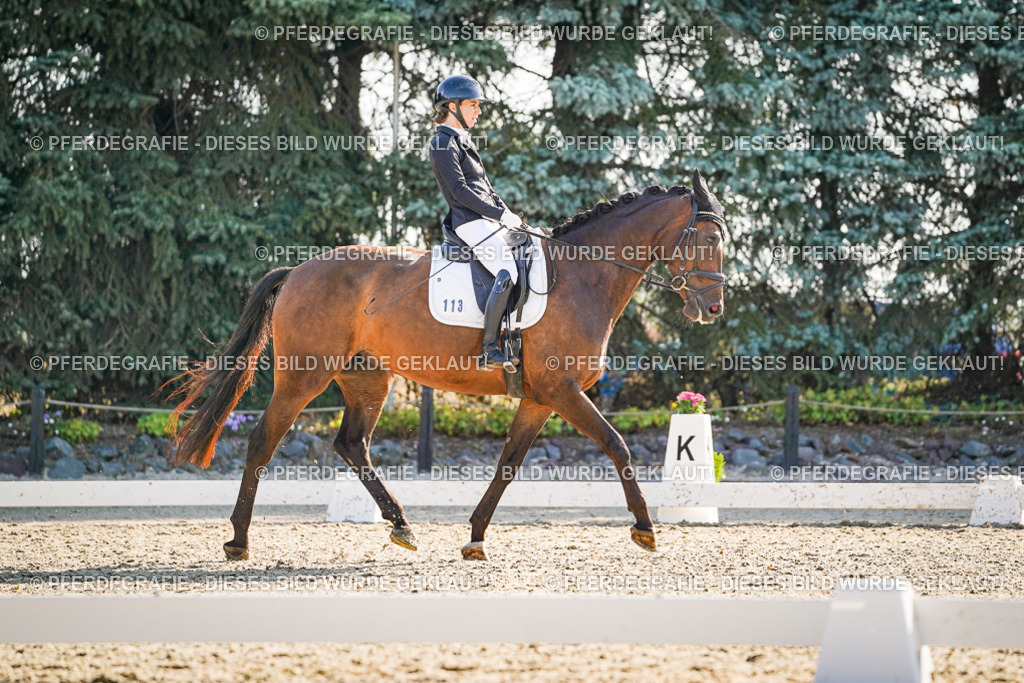 DSC09319 | Pferdegrafie