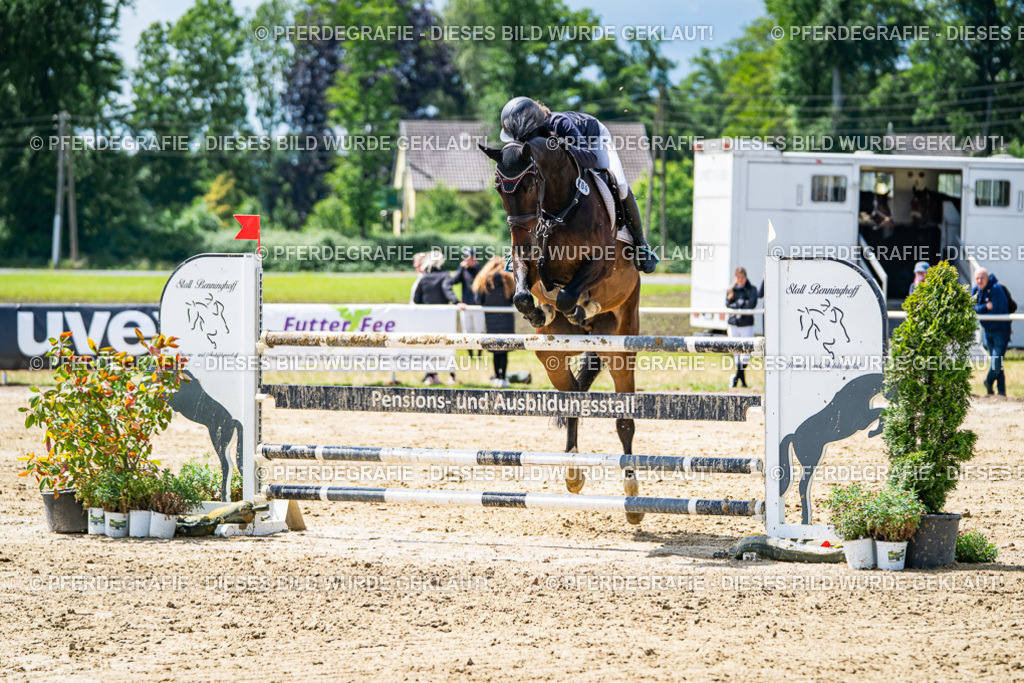 DSC05036 | Pferdegrafie