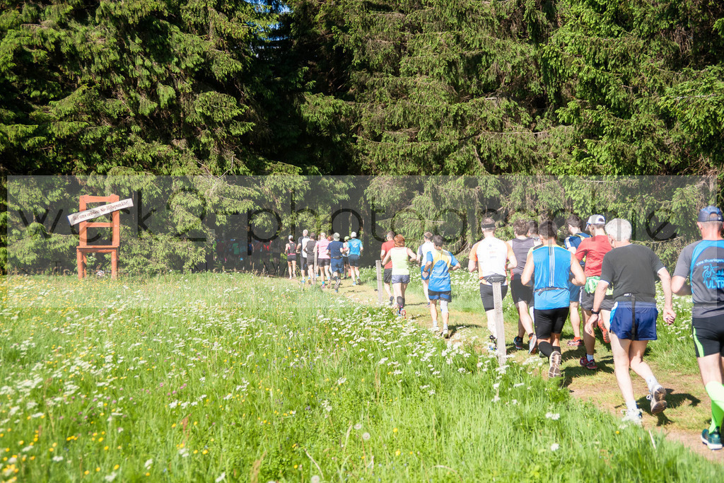 Rennsteiglauf 2018 | Neuhaus/Rwg. - Schmiedefeld am 26. Mai 2018