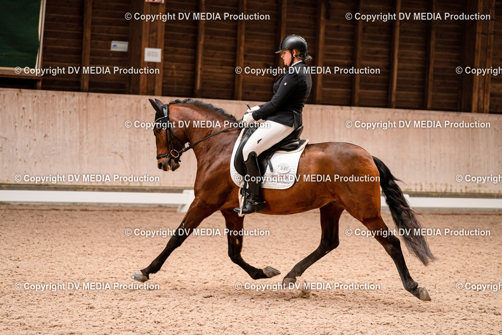 Dressur Tag 2-332 | dv-media-shop - Realisiert mit Pictrs.com