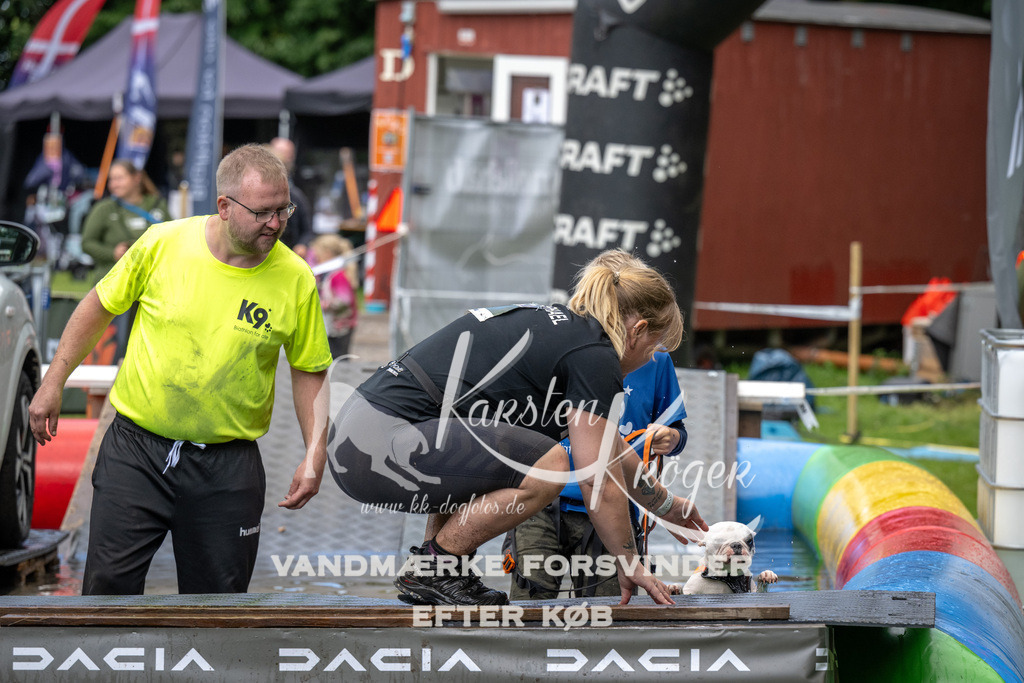 1438_ZZ91692 | kk-dogfotos