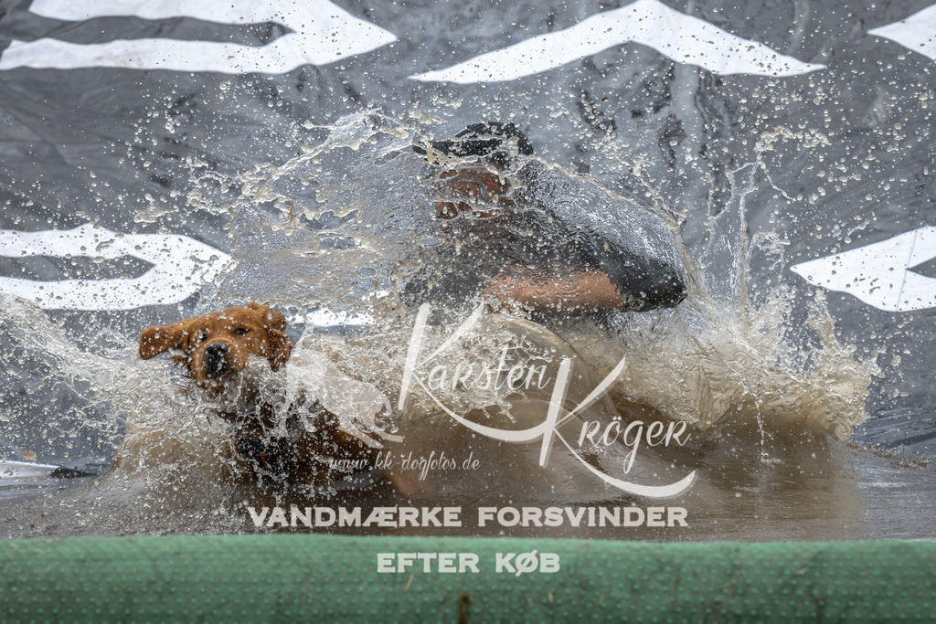 1531_ZZ93948 | kk-dogfotos
