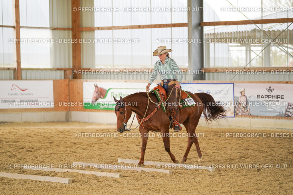 DSC05051 | Pferdegrafie