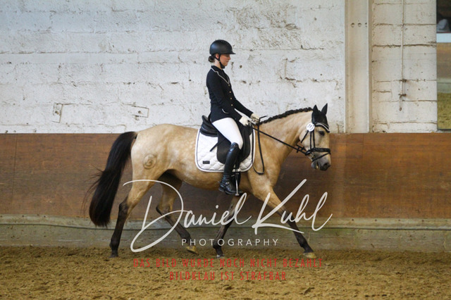 DKP43764 | Turniersportfotografie; Pferdefotografie; Dressurfotografie