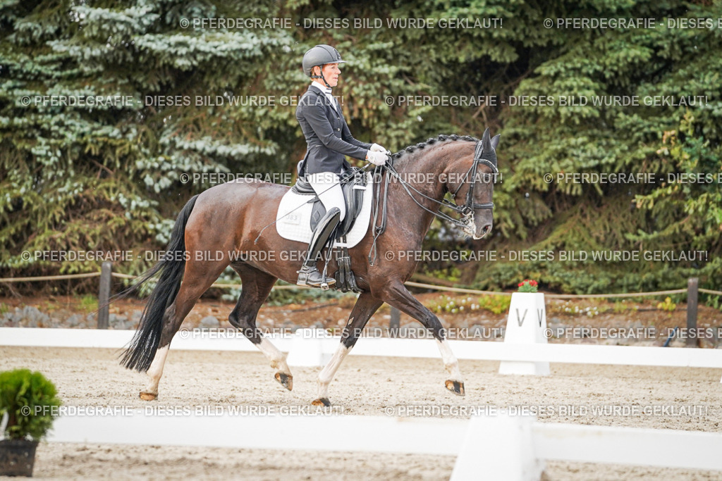 DSC08900 | Pferdegrafie