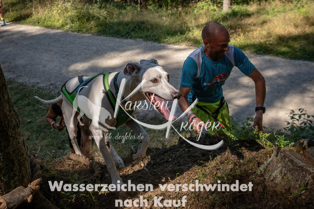 1238_ZZ94709 | kk-dogfotos