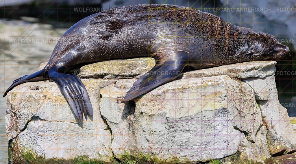 2026414-121113Zoo_Frankfurt100L0694_finish | Im Zoo Frankfurt zeigt sich genau das: kleine Momente, echte Begegnungen, ungefilterte Emotion. - Realisiert mit Pictrs.com