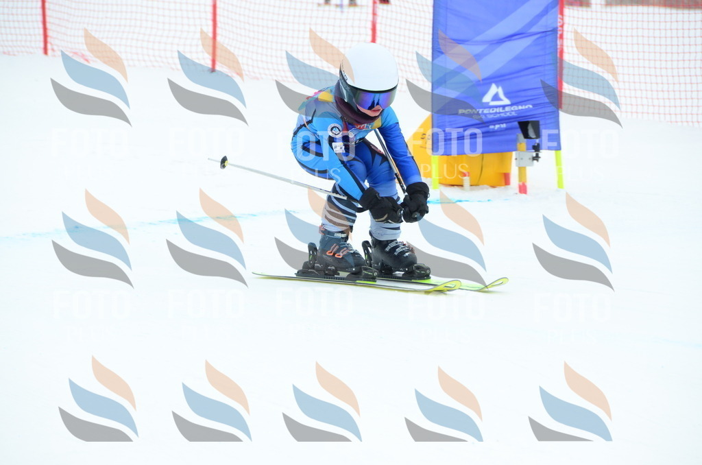 DSC_1796 | holidayphoto