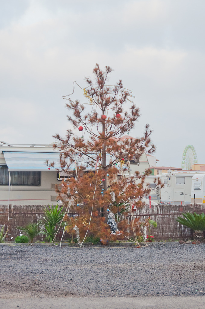 Puerto de la Cruz, Teneriffa | Online Shop für Christen: Christliche Poster XXL, Plakate, Wandbilder als Leinwand & christliche Postkarten, Kalender, Sticker & Lizenzen zum Download. Die Kunstwerke im christliche Geschenke Shop zeigen die Jahreslosung 2025, Gott, Jesus & mehr.