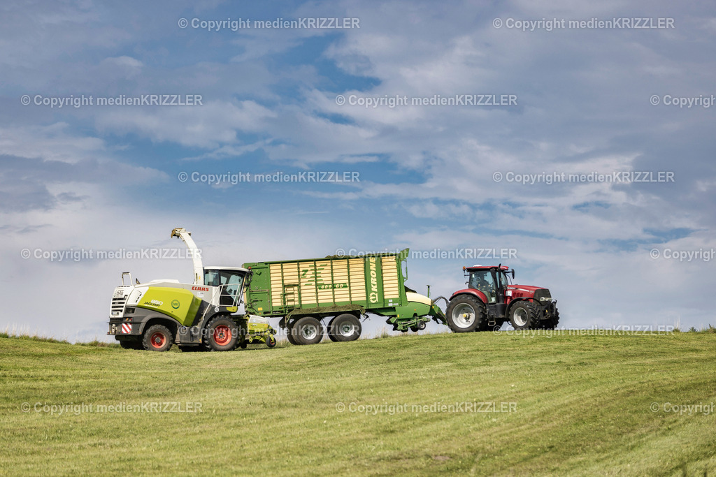 _J3A2235 | medienkrizzler - Realisiert mit Pictrs.com