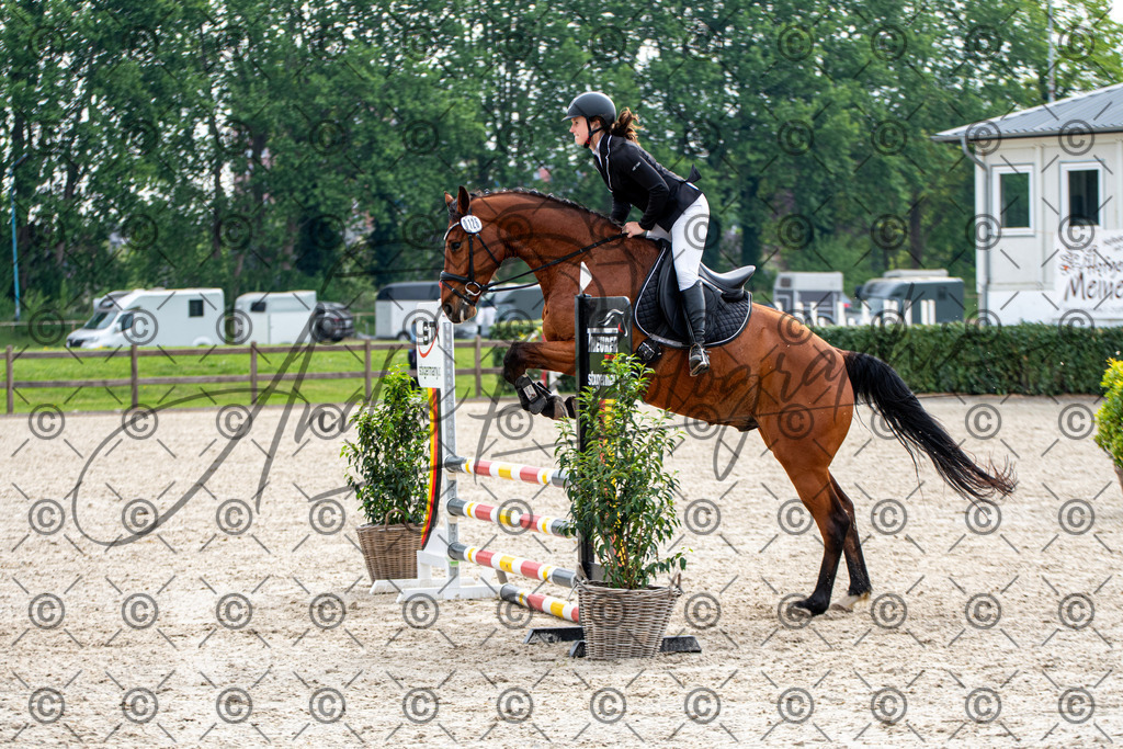 KPT_2142 | andre_photographic