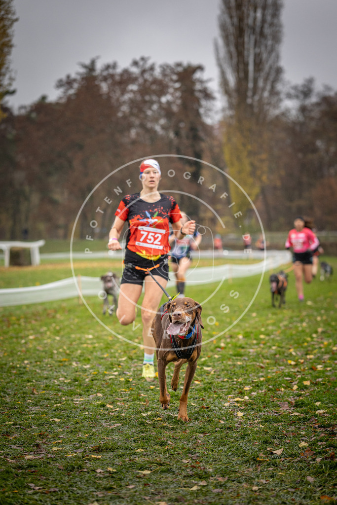CaniXpix_DV3A9303 | Hundefotografie, Tierfotograf, Pfotenfotografie, Fotoshooting Hund, Hunde Portrait, Hundesport, Hundeportraits, Heideshooting, Hunde, Sportfotograf, Hundefotograf, Turnierhundsport, THS,  - Realisiert mit Pictrs.com