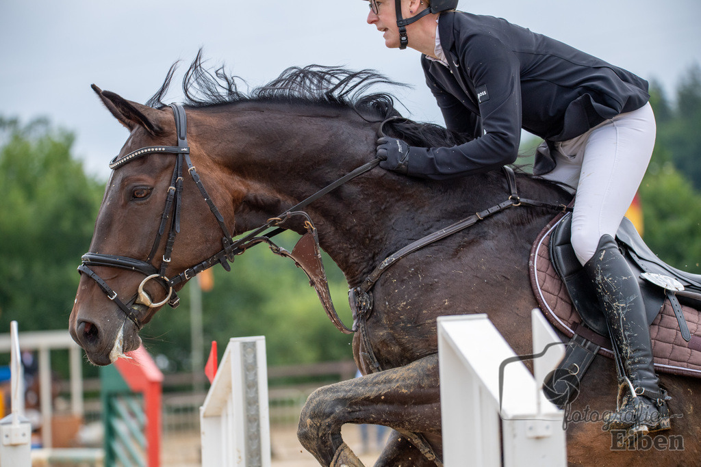 Springturnier Ammerländer Reitclub | Springturnier Ammerländer Reitclub (Punktespringprüfung KI.L 115cm am 30.06.2024; in Westerstede (Ammerländer Reitclub), Photo: Philip Eiben 2024 - Realisiert mit Pictrs.com