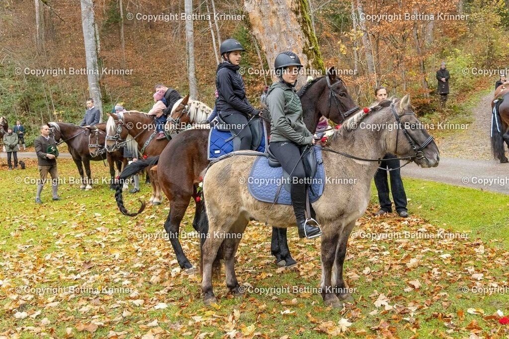 LL25-201 | foto-bettina-krinner - Realisiert mit Pictrs.com