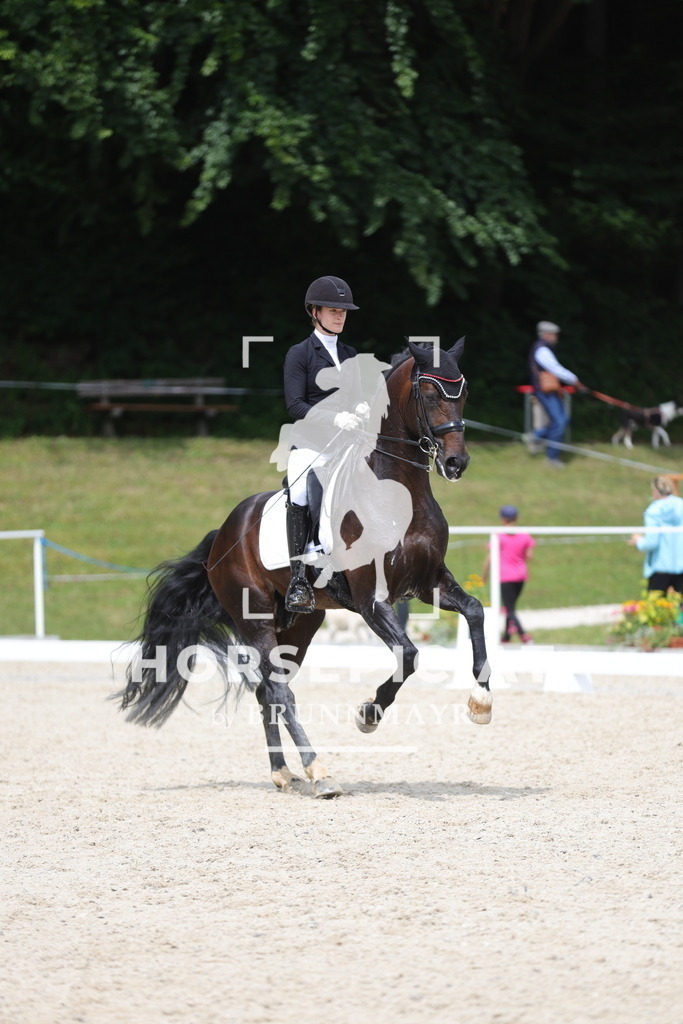 0P6A5468 | Willkommen bei Brunnmayr - Design & Fotografie – Ihrem Spezialisten für Reitturniere und Pferdeveranstaltungen in Oberösterreich, Salzburg und Bayern! Seit über 17 Jahren sind wir leidenschaftlich dabei.