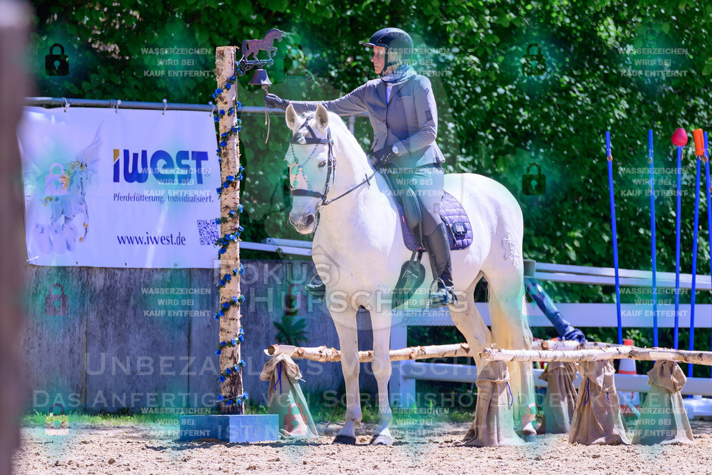 01052026-Giesenbach-02-Stiltrail-0095 | Fokus Hufschlag Fotografie - Realisiert mit Pictrs.com