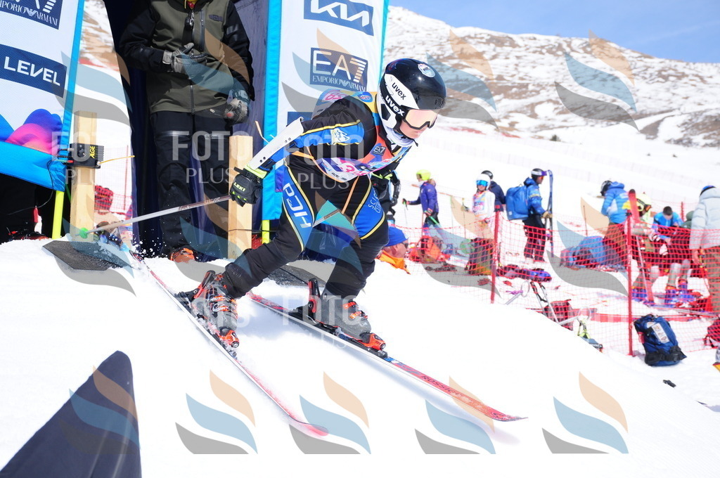 DSC_6917 | holidayphoto