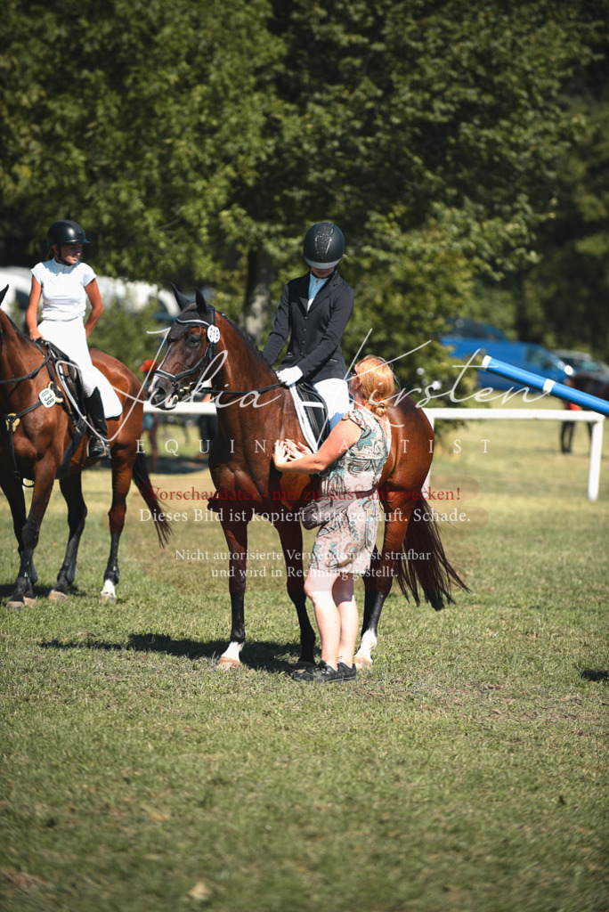 DSC_7301 | Pferde- und Turnierfotografie in Westsachsen. Pferdeportraits, Auftragszeichnungen und intuitive Kunst.