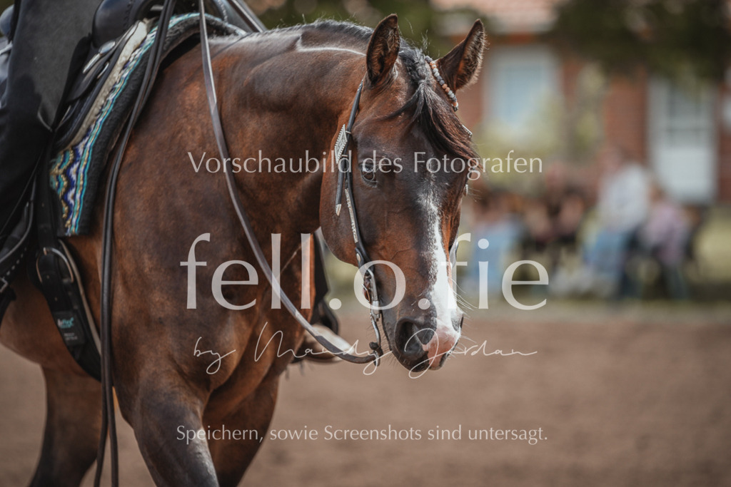 fell.o.fie_mandyjordan_2024_06_04724 | Mandy Klecke Fellfotografie, fell.o.fie Fotografenshop - Realisiert mit Pictrs.com
