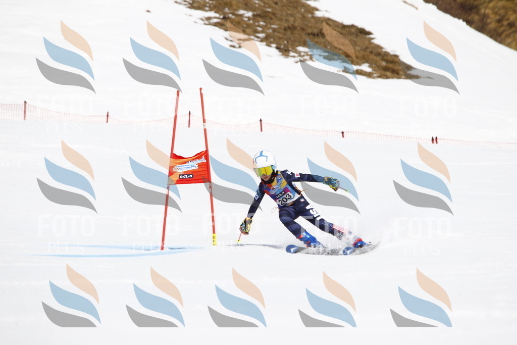 _U3G5264 | holidayphoto