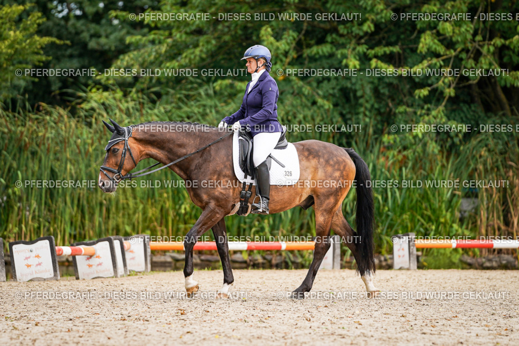 DSC02078 | Pferdegrafie