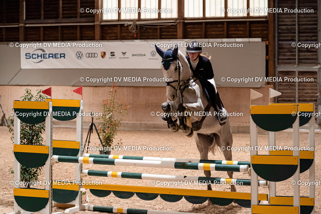 Springen Tag 1-149 | dv-media-shop - Realisiert mit Pictrs.com