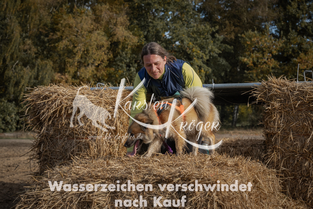 1044_ZZ99178 | kk-dogfotos